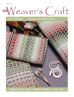 Revised Issue 1 cover